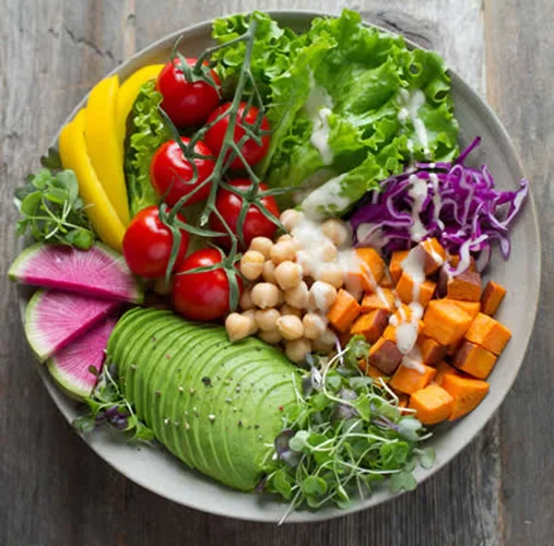 Healthy Eating for Wheelchair Users - Plate of High-Energy Food